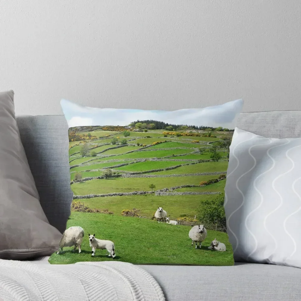 Kerry Hill Sheep Throw Pillow pillow pillowcase Custom Cushion Pillow Covers Decorative