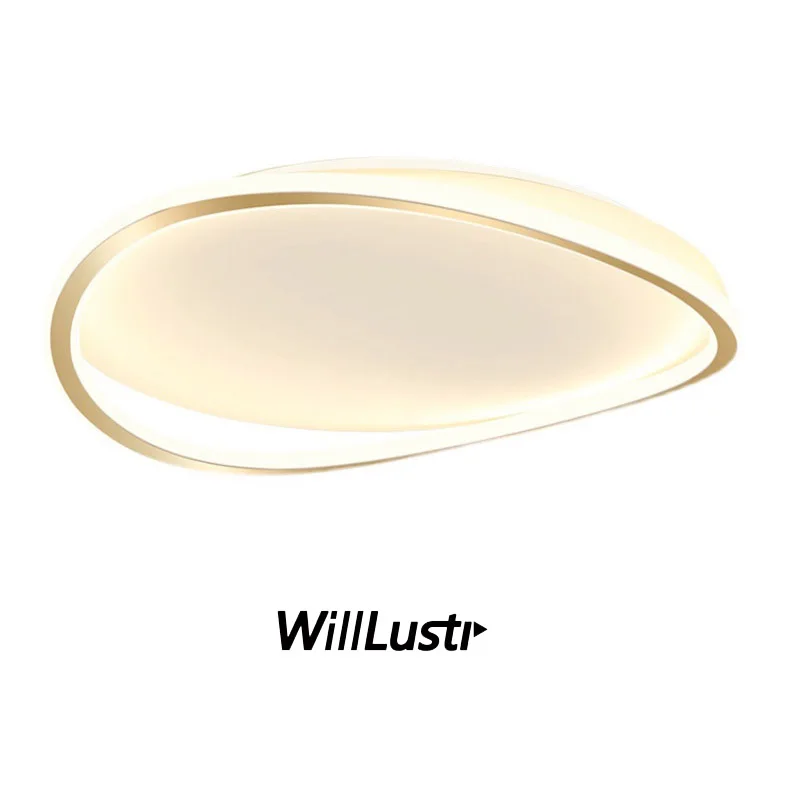 Creative Curved Metal Ceiling Lamp LED Silica Gel Platfond Light Luxury Hotel Cafe Living Dining Bedroom Round Lighting