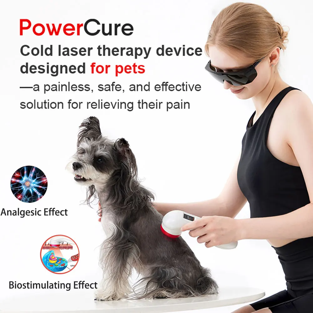 

Pet Therapy Device Veterinary Diode Laser 808nm 650nm Infrared Light Therapy Device for Animals Fast Recovery