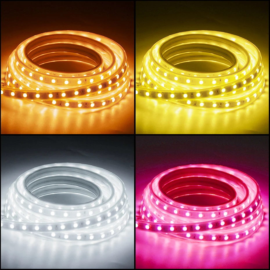 LED Strip Lights 220V RGB 5050 Dimmable Flexible Tape IP67 Waterproof EU Plug  Led Ribbon Lamp with RF Touch/Remote Control