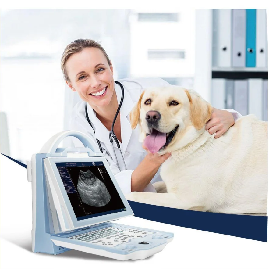 full digital cheapest laptop veterinary ultrasound