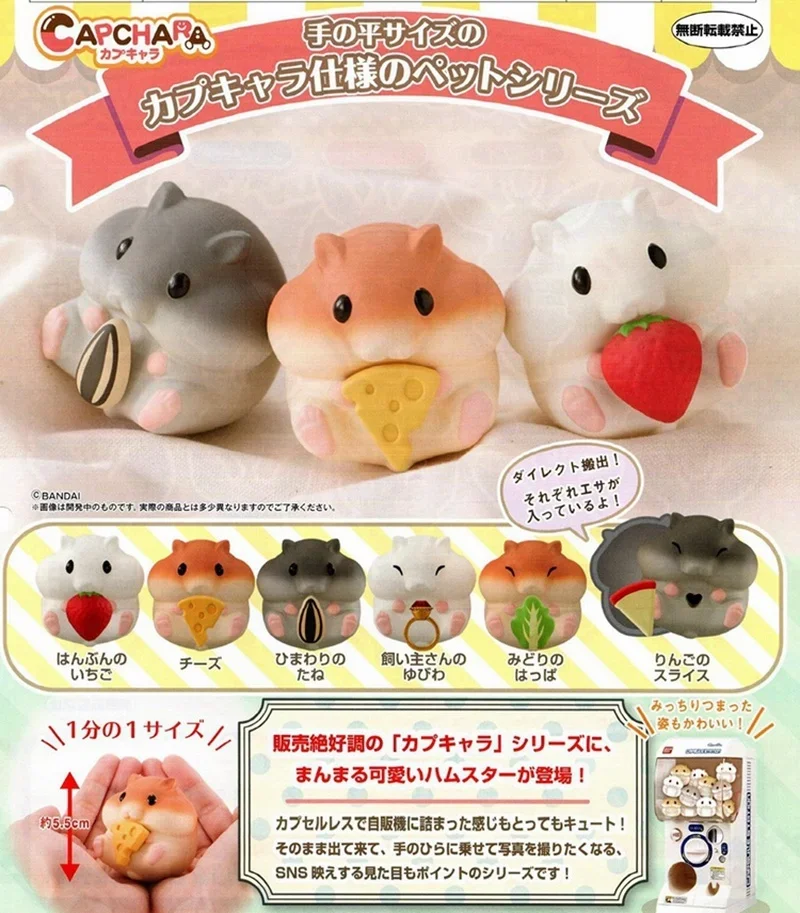 New Bandai Genuine Hamtaro Hamster Hamtaro Capchara Capsule Toys Action Figures Toys Anime Decorate Decoration Birthday Gift