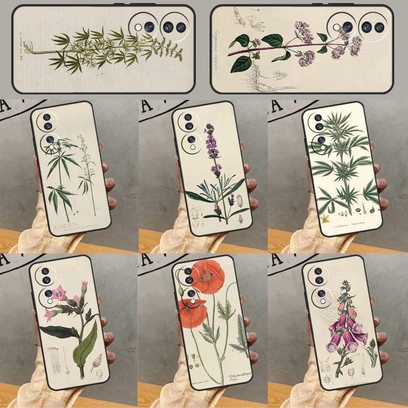 Botanical Drawings …