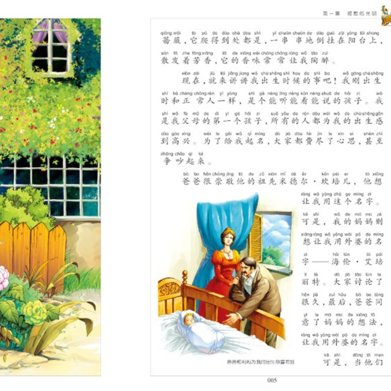 Das Geheimnis des Schatzkürbises, ein klassisches literarisches Meisterwerk der Welt, Nils' Journey on Goose, bemalt