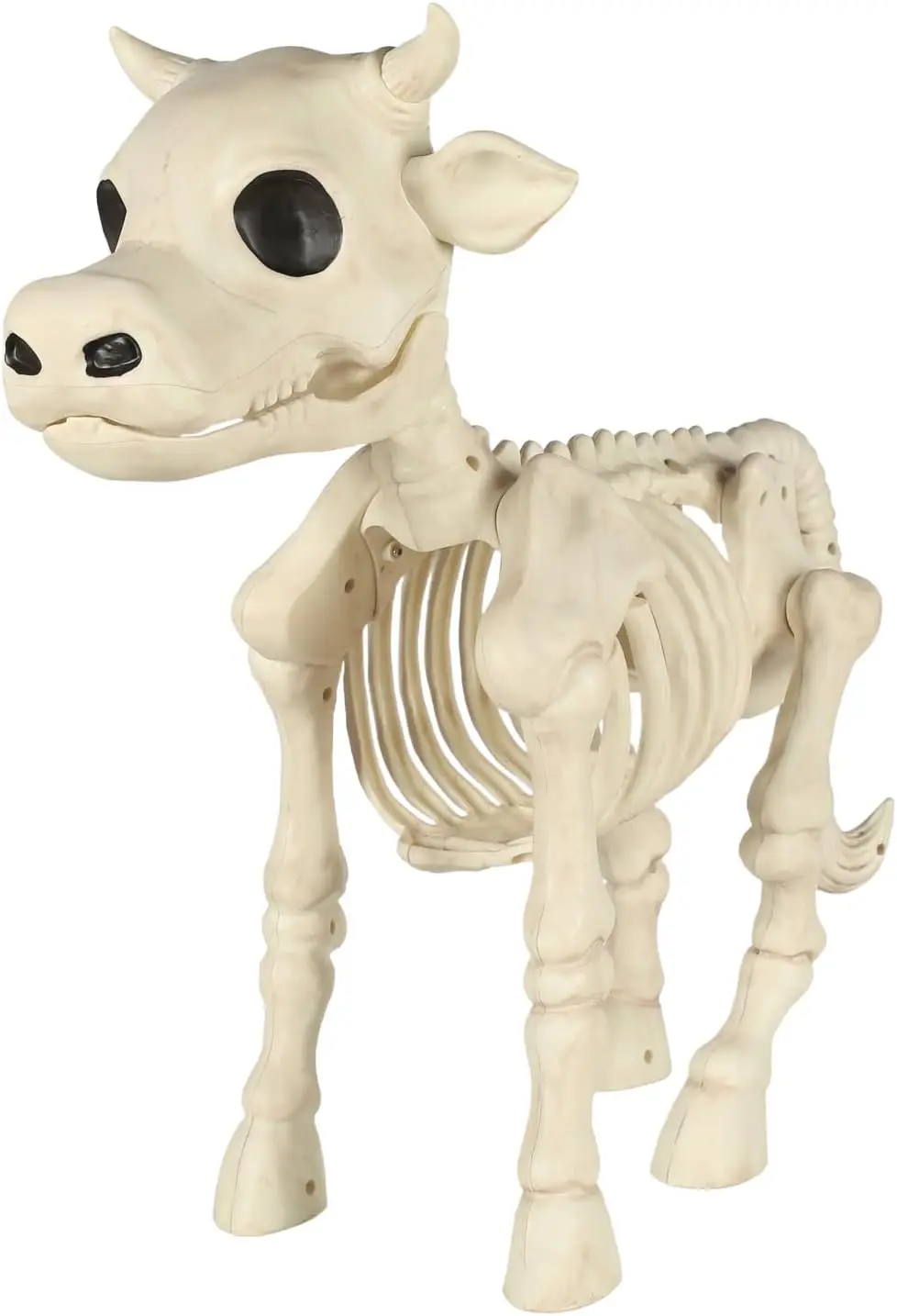 Halloween Decor Featuring an Oversized Skeleton Cow