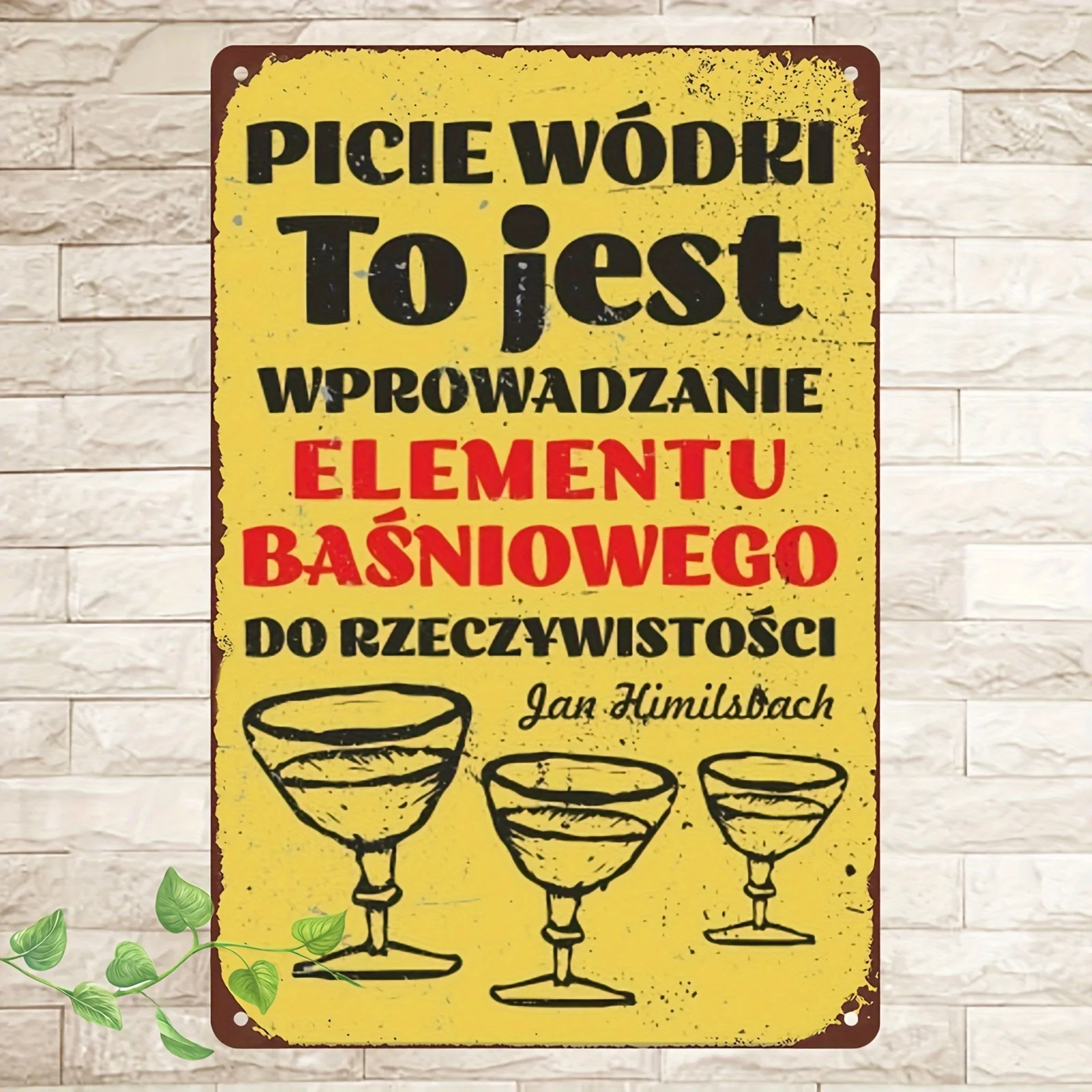 1 Vintage Metal Sign - Humorous Polish 