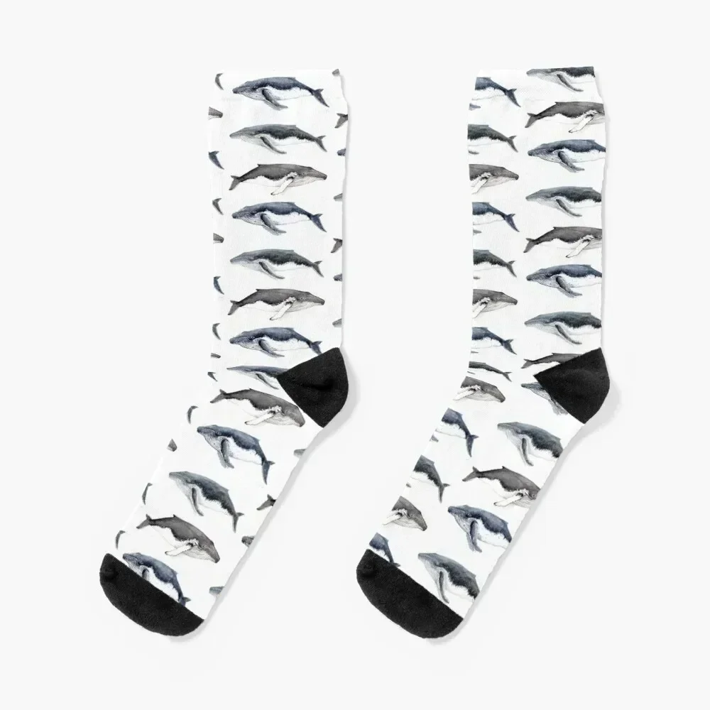 

Humpback whales (Megaptera novaeangliae) Socks sports and leisure gift soccer anti-slip sport Designer Man Socks Women's