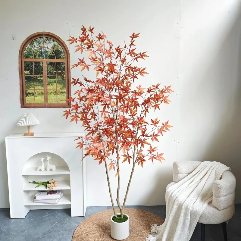 exotic indoor plants