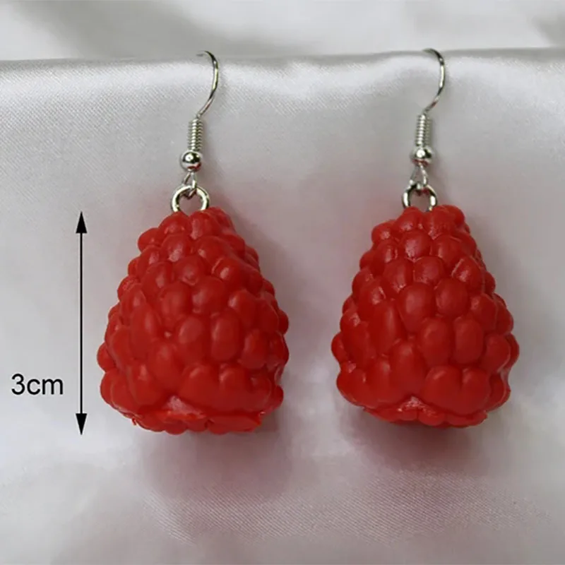 Raspberry Earrings Food Lesbian Novelty Earrings  Gift for Her