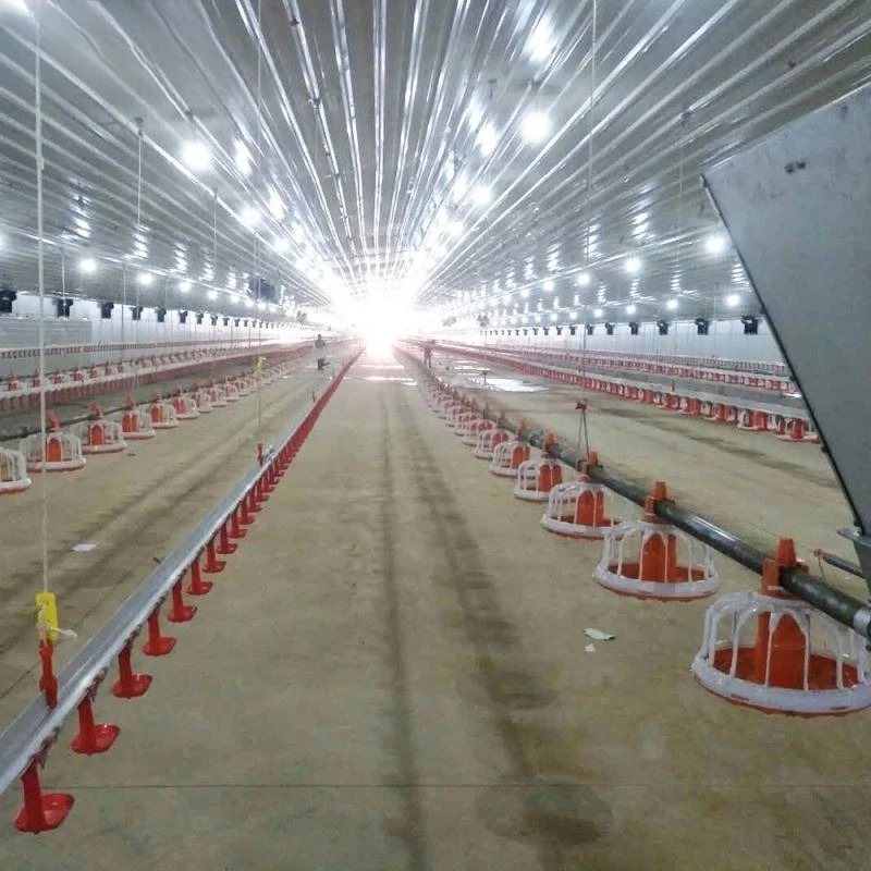 Automatic Industrial Poultry Egg Layer Breeder Broiler Farming Husbandry Raising Plant Line System for Chicken Farm Building