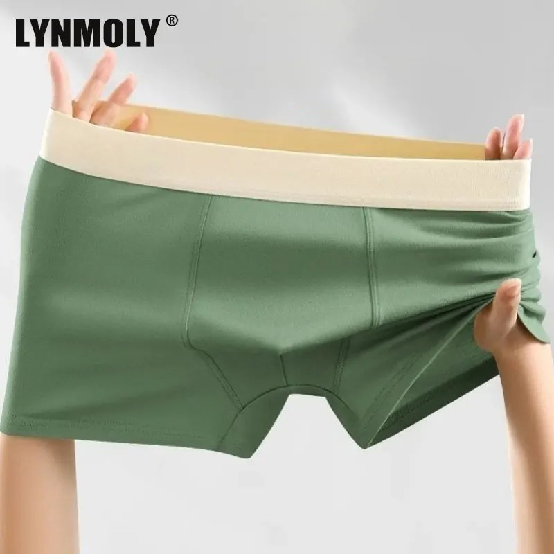

1/2/3/5Pcs Boxers Briefs Men's Underwear 2025 Soft Sexy Seamless Panties Boxers Man Underpants Male Shorts U Convex Lingerie