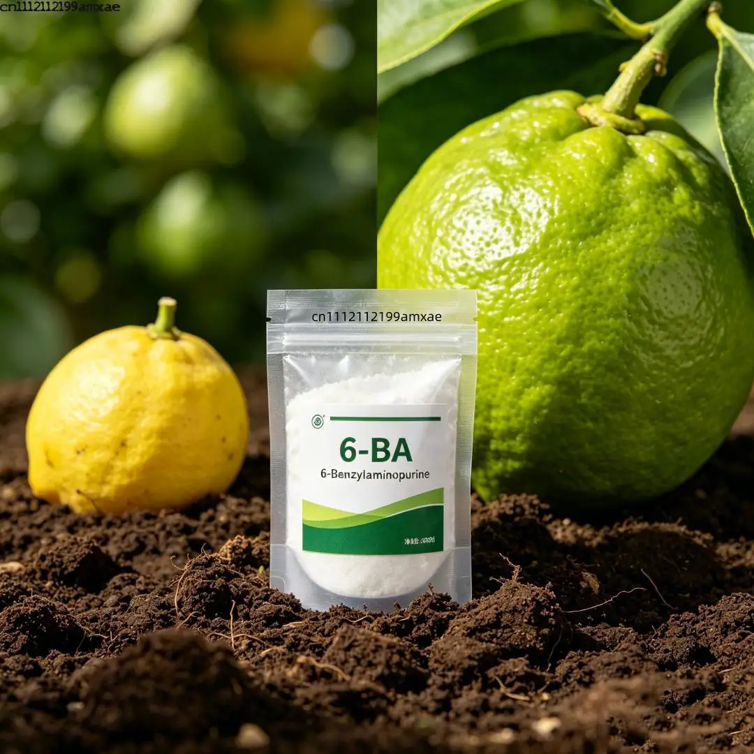 6-Benzylaminopurine 6-BA Powder Plant Growth Adjuster Cytokinin Supplement For Farm Garden Plant Growth Care