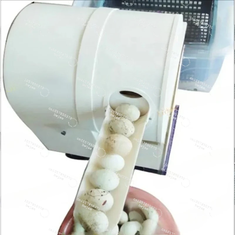 

FOR Chicken duck goose egg washer egg cleaner wash machine, Electric Egg washing machine 2400 pcs/h poultry farm equipment