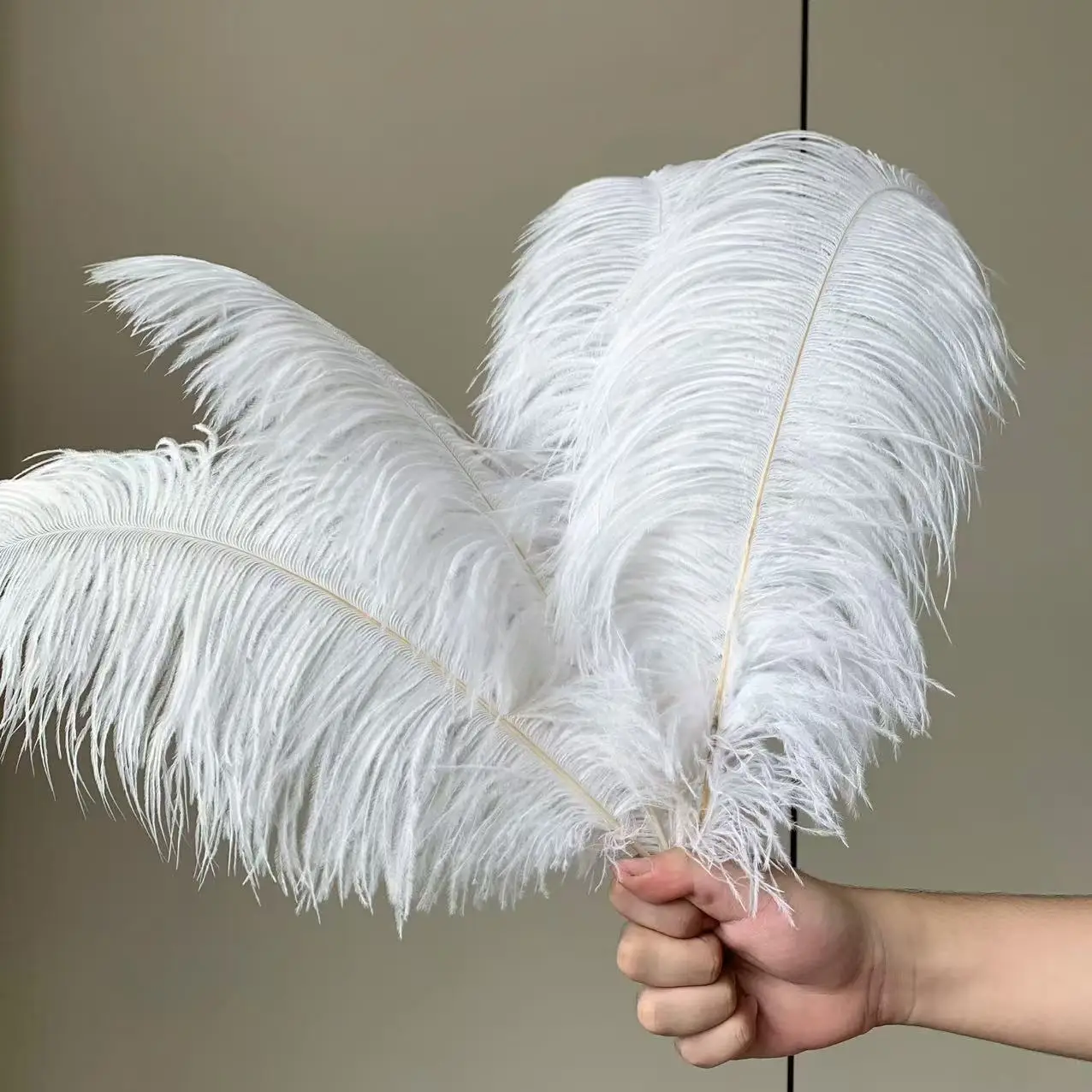 Wholesale White 15-60cm Ostrich Feather Natural Plume for Wedding Party centerpiece Handicraft Decoration Craft Feathers
