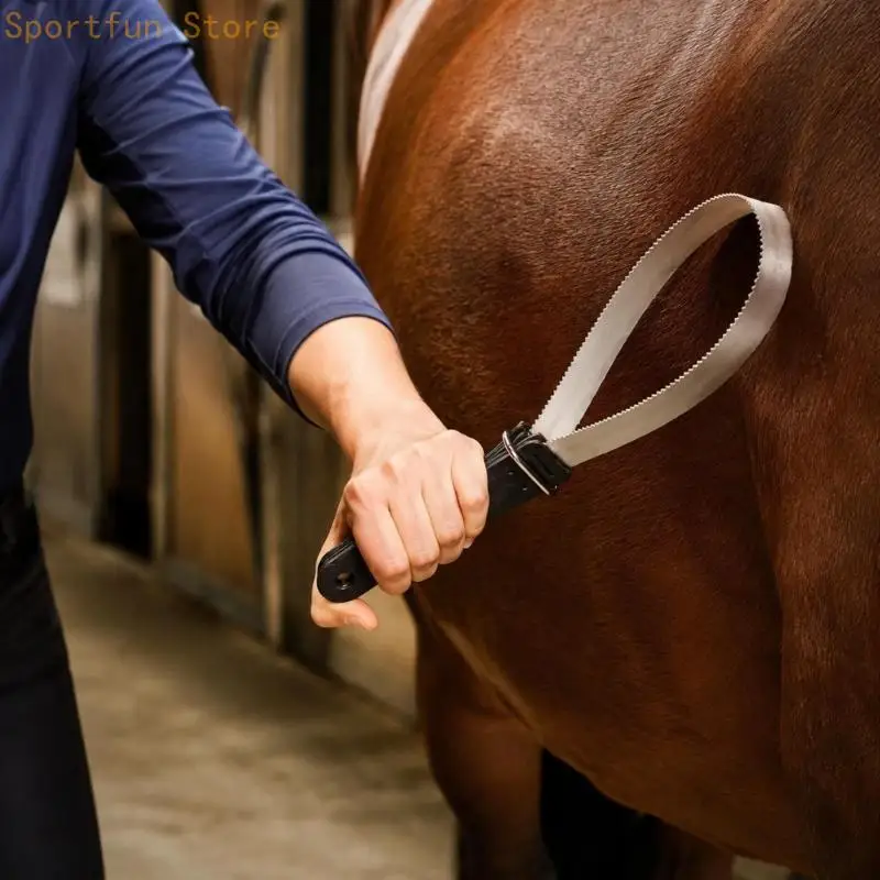 Horse Moisture Scraper for Grooming, Handheld Stainless Steel Blade Tool for Post-Exercise Coat Care and Washing X7JD