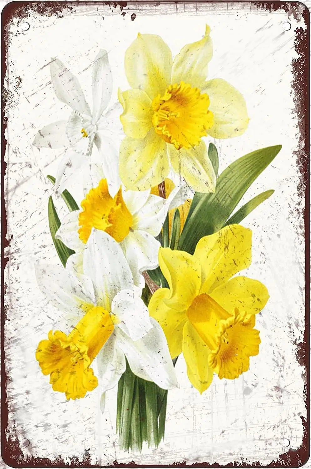 Daffodil Botanical Flower Tin Signs Easter Poster Gift for Women Men Wall Decor Metal Signs for Coffee Shop Decor Kitchen B sign