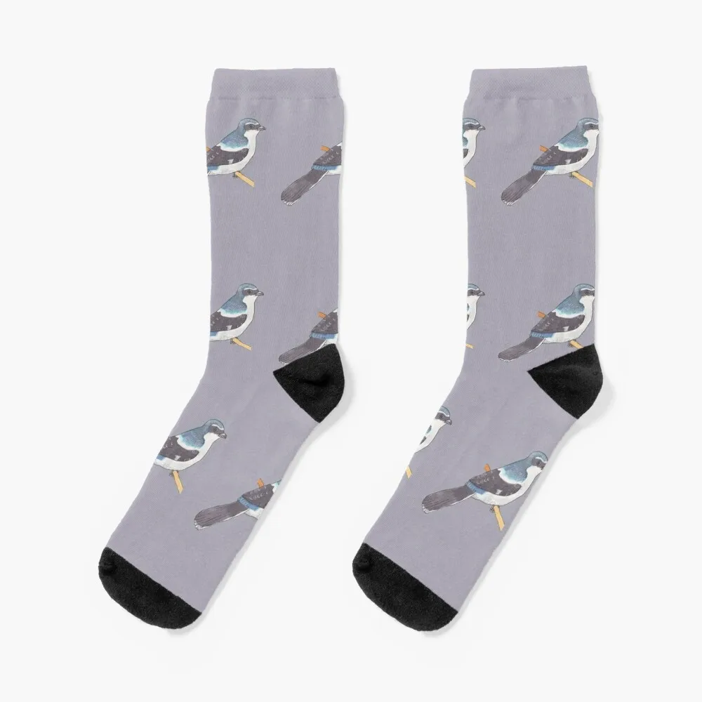 

Loggerhead Shrike bird species watercolor bird art Socks Men's basketball Socks Ladies Men's