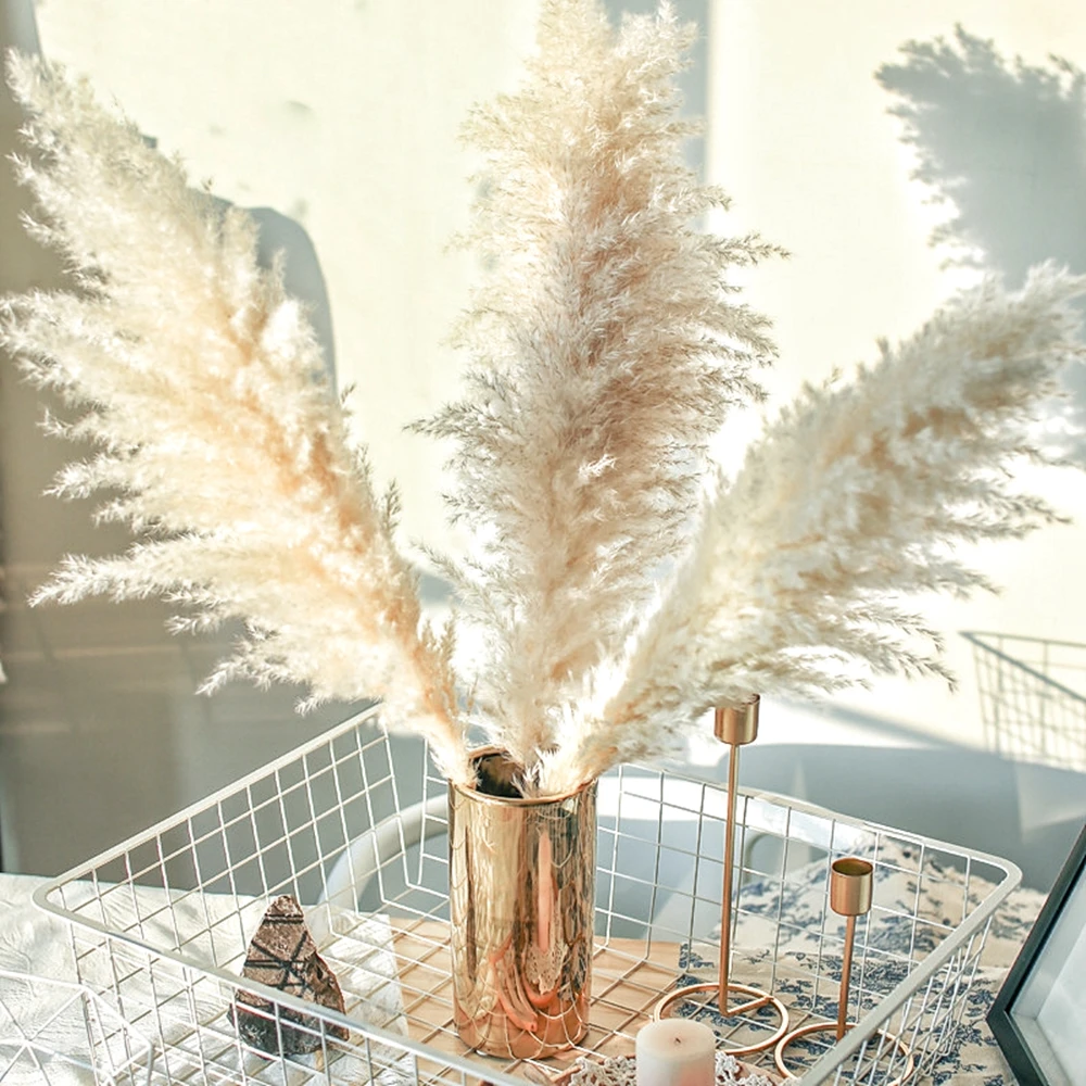 120cm Large Pampas Grass Fluffy Natural Reed Wedding Bouquet Tall Dried Flower Ceremony Modern Home Garden Decoration