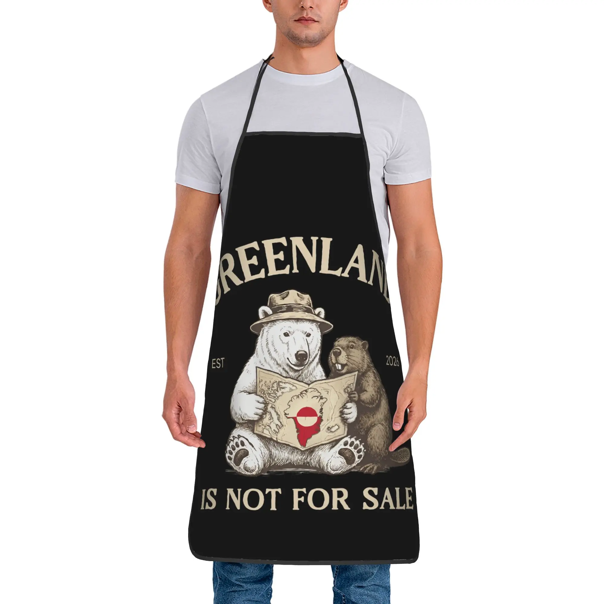

Greenland Is Not For Sale Apron Manicure Restraunt Kitchen Accessories Household Custom Aprons without Pocket