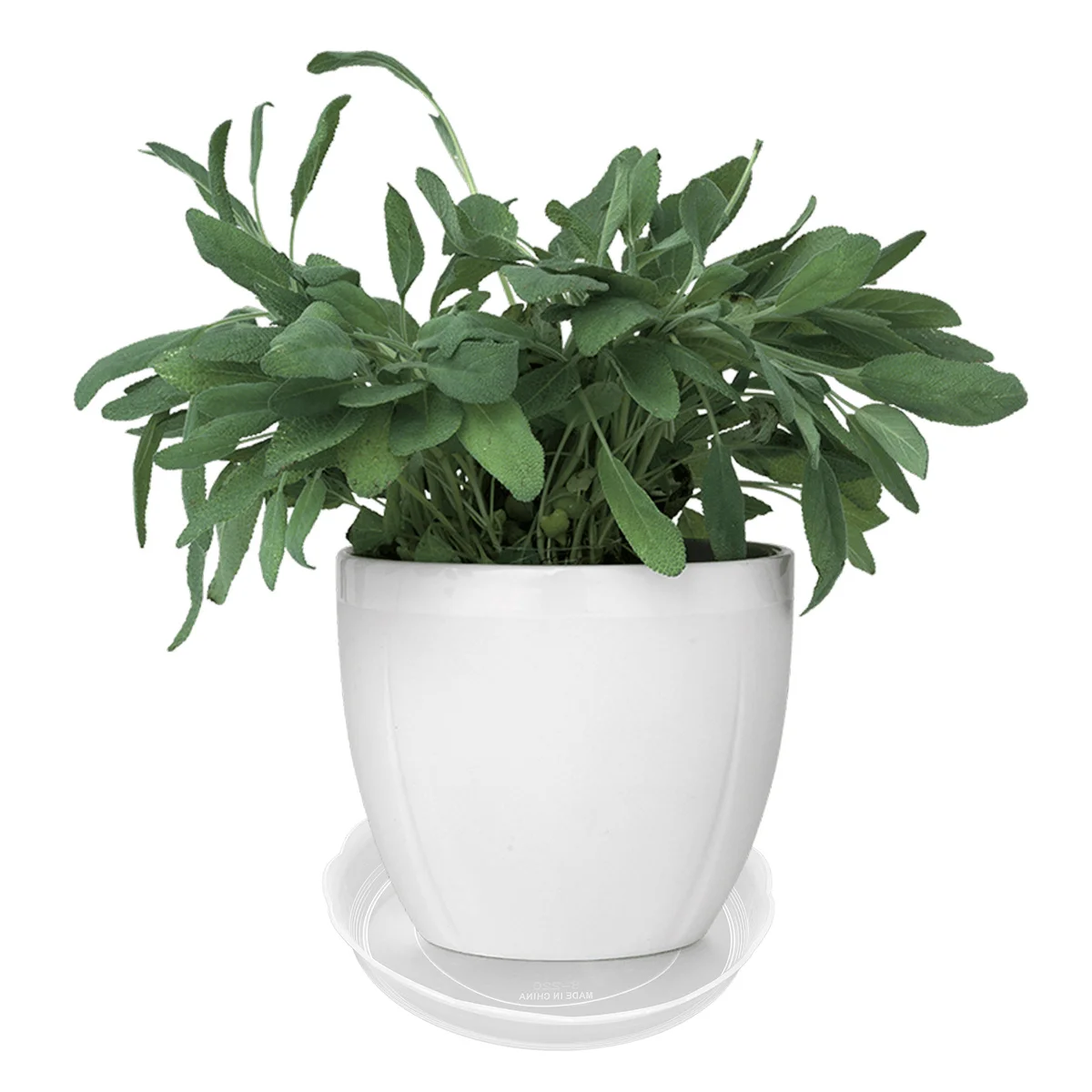 20 Buah Nampan Pot Bunga Bulat 22Cm Piring Tanaman Plastik Transparan untuk Bonsai Taman Balkon Nampan Pot Bunga Piring Pot Tanaman
