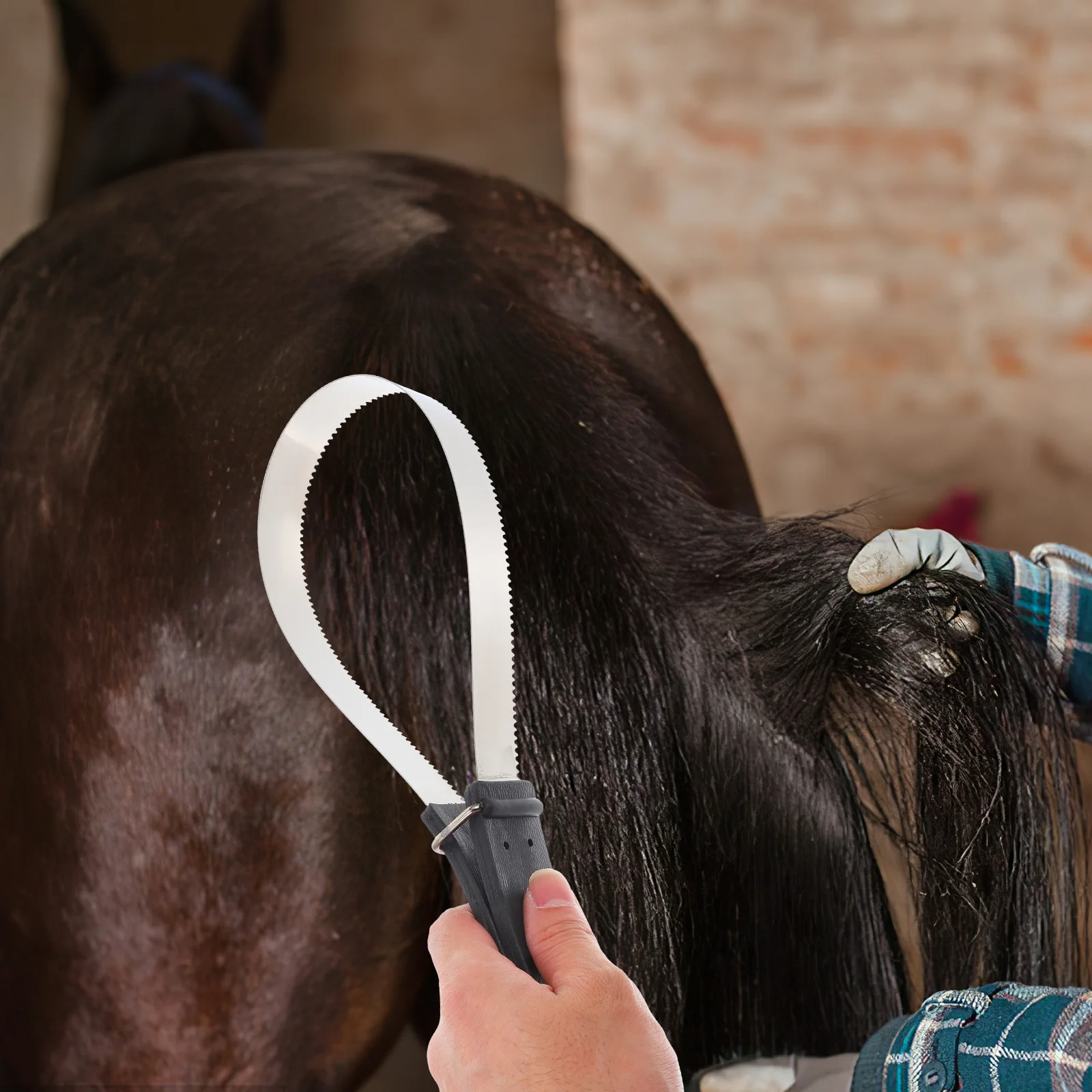 دائم الفولاذ المقاوم للصدأ الحصان مكشطة الشعر فرشاة تساقط أداة تهذيب لون عشوائي الحصان مكشطة فرشاة الحيوانات الأليفة الاستمالة