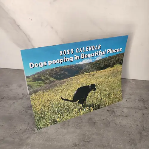 튼튼한 일일 주간 월간지 플래너, 2025 달력, 매달릴 수 있는 개 푸핑 달력 종이, 탁상용 달력, 사무실  Best5