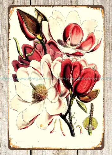 Campbell's Magnolia 1855 metal tin sign indoor wall decor