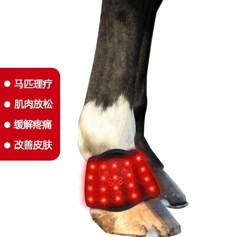 1pcs Equestrian Red Light Therapy Pad 660nm Infrared Blanket for Hoof Knee & Hock