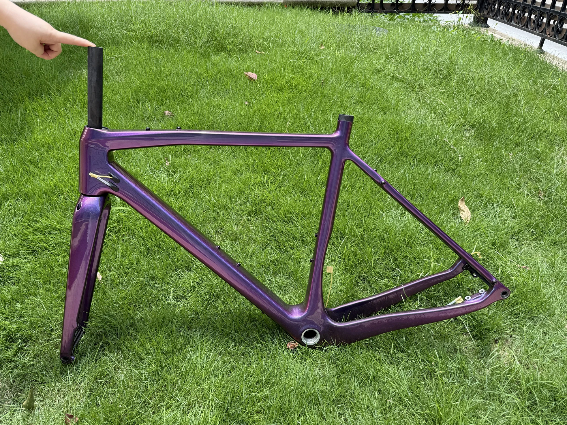DIY Color Custom painting Full Carbon Bicycle Frame POD  Print On Demamd - Extra Fee