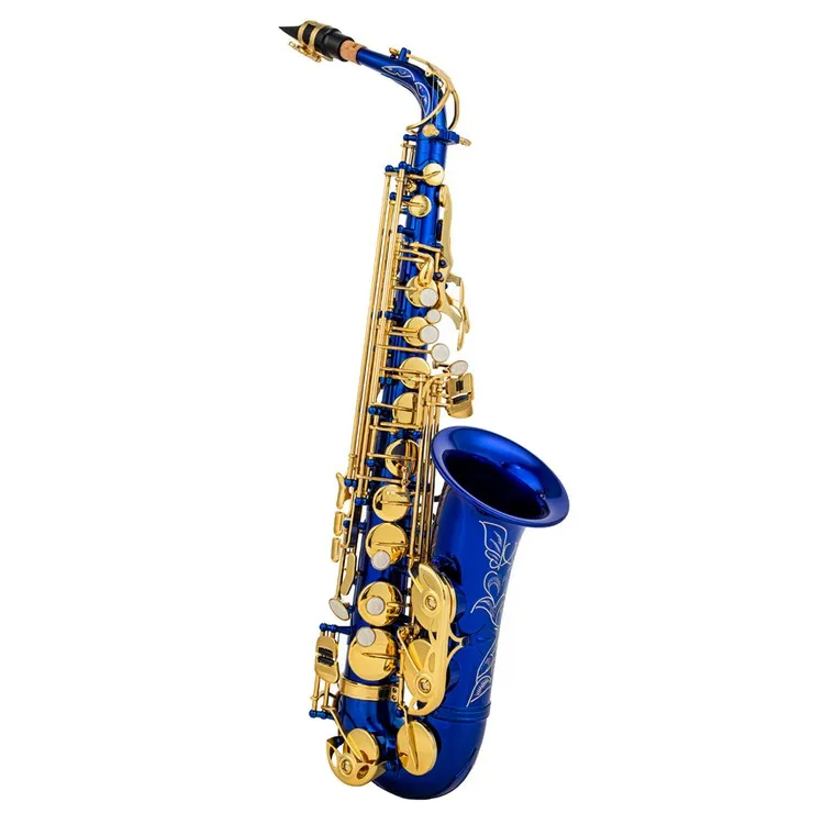 Eb Alto Saxophone Brass E Flat Sax 802 Key Type Woodwind Instrument with Cleaning Rod Cloth Gloves Strap Padded Case