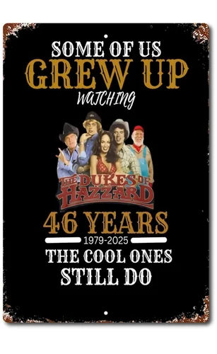 Знак Dukes Hazzard Metal Hazard General Tin New Vintage Look Алюминий-Алюминий