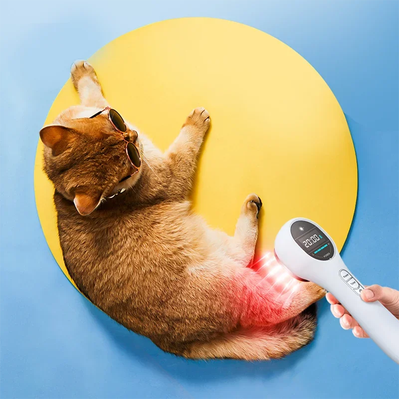 Lampu Instrumen Terapi Inframerah Fisioterapi 650nm 808nm Terapi Lampu Merah Inframerah Dekat untuk Pereda Nyeri Sendi