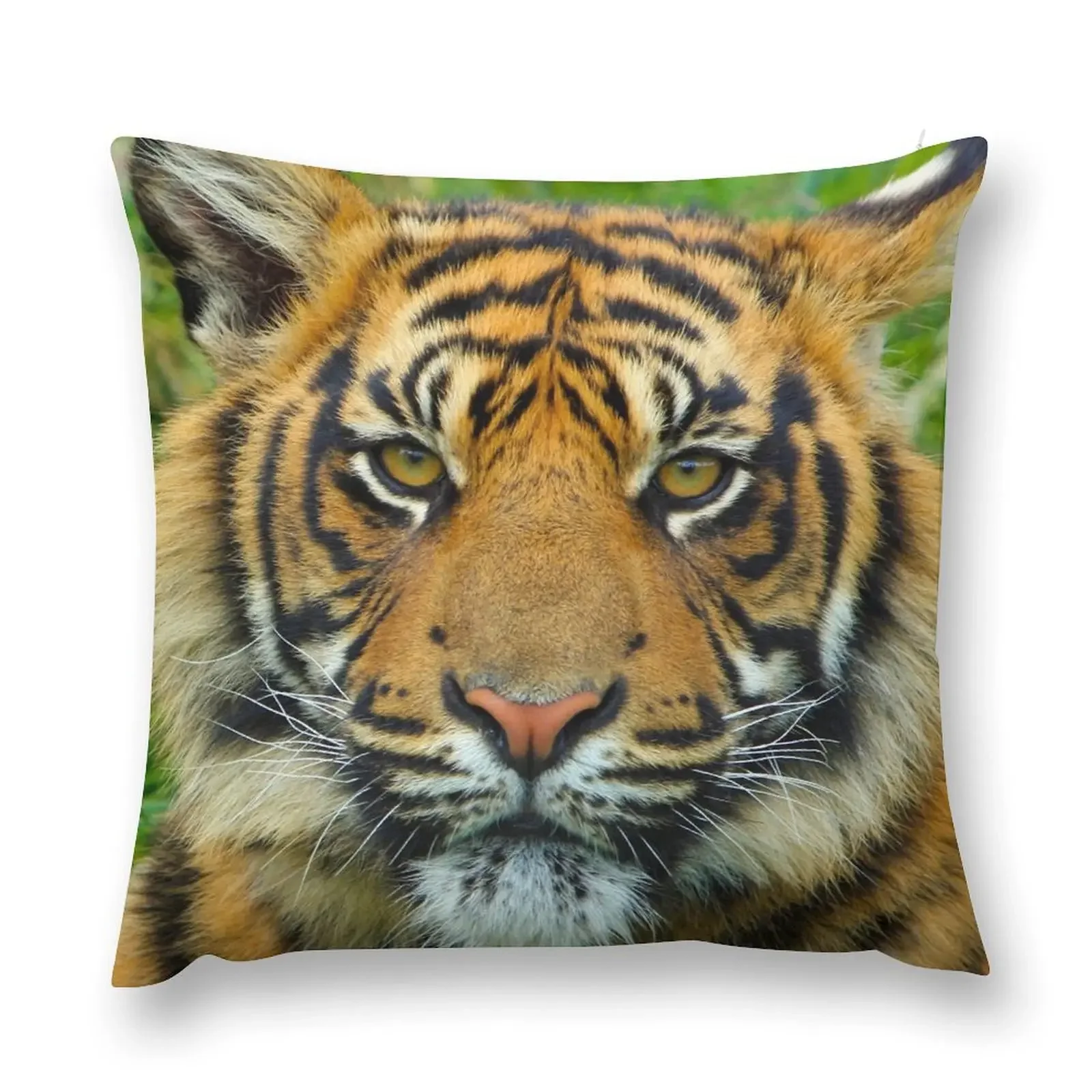 

Tiger Face Throw Pillow Christmas Pillows pillow cover luxury Luxury Cushion Cover Luxury Sofa Cushions pillow