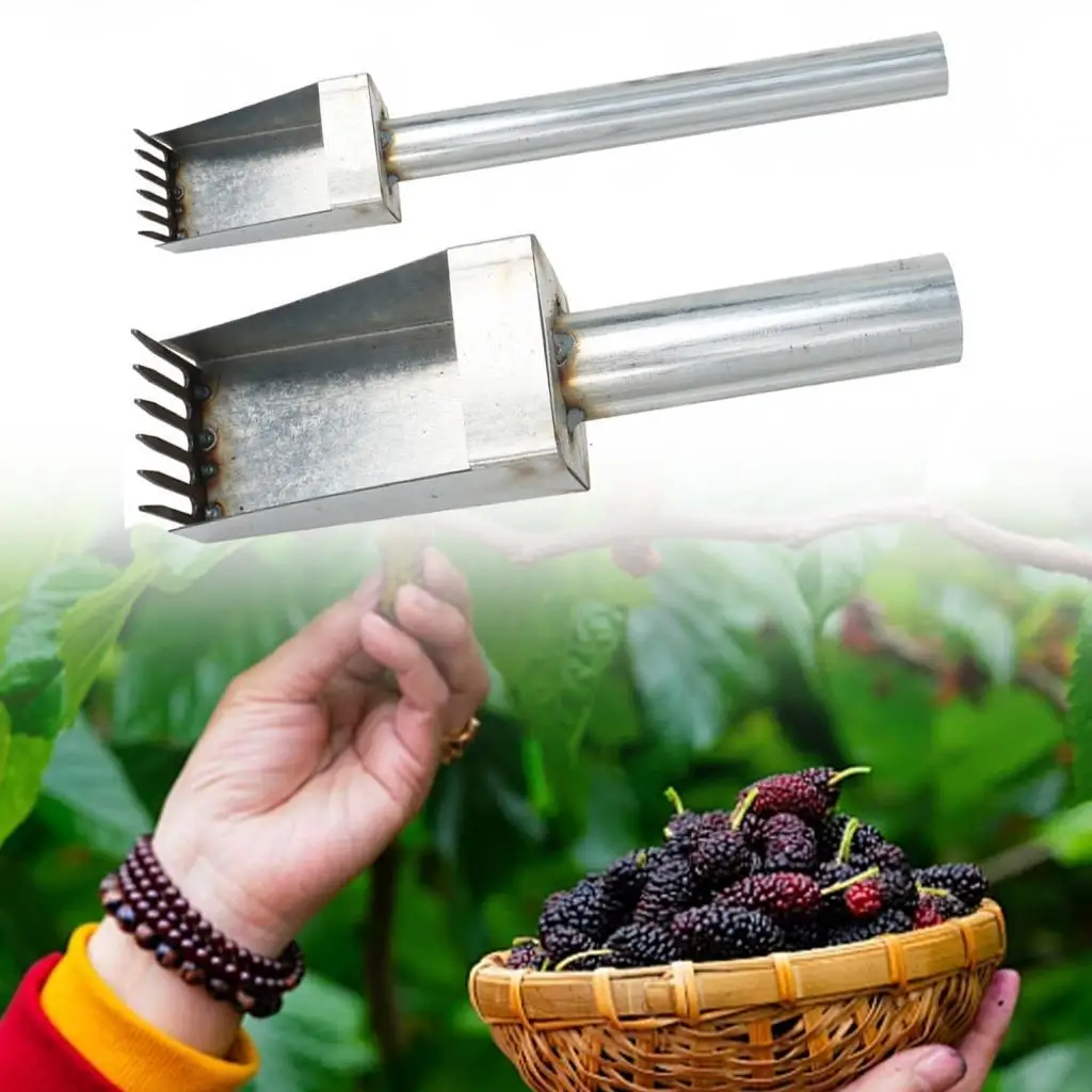 Ferramenta para colheita de jujuba, colher para colheita de frutas para bagas pequenas
