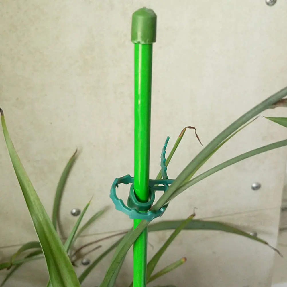 

120Pcs Garden Tree Fixing Buckle Strong Plastic Vine Plant Strapping Band Easy Installation Reusable Gardening Climbing Plant