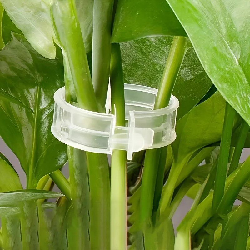 Plant Support Clips, Suitable for Home Vegetable Gardens and Vine Wrapping, Support for Eggplants, Tomatoes, Peppers,