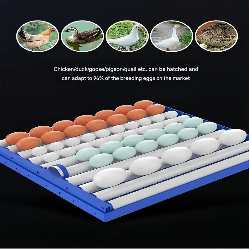 with Automatic Egg Turning  High Hatching Rate Suitable for Backyard Chicken Breeders New Medium-Sized Incubator