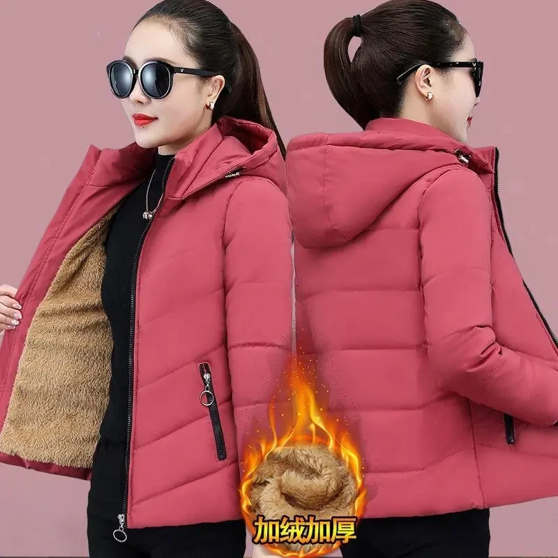 Feminino curto inverno lambswool para baixo jaqueta de algodão 2025 novo mais velet casaco de algodão quente coreano solto com capuz parkas outerwear