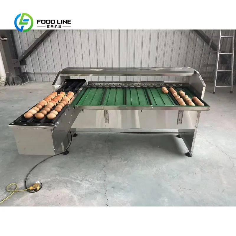 Customized New Industrial Grade Stainless Steel White Chicken Egg Cleaning Washing Machine UV Sterilization 220V 1 Year