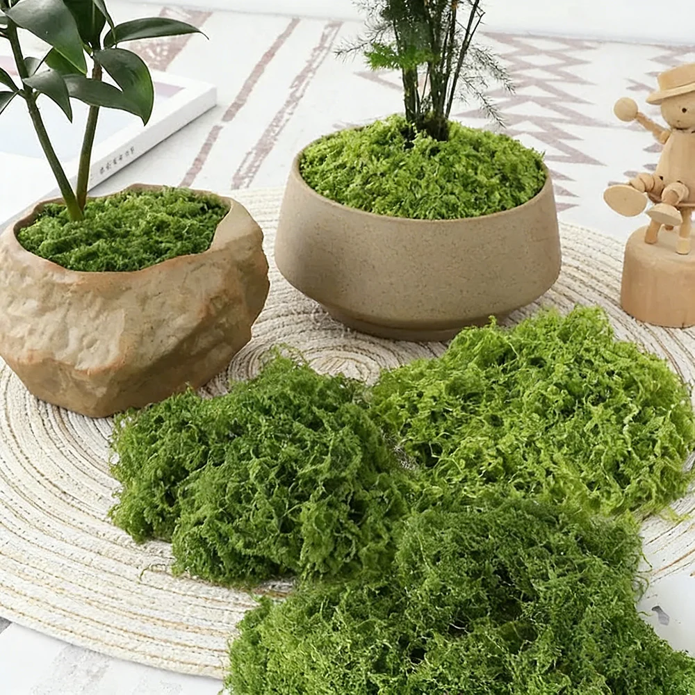 Plantas Verdes Artificiais, Mu - Sphagnum Moss Dry avaliação e preço
