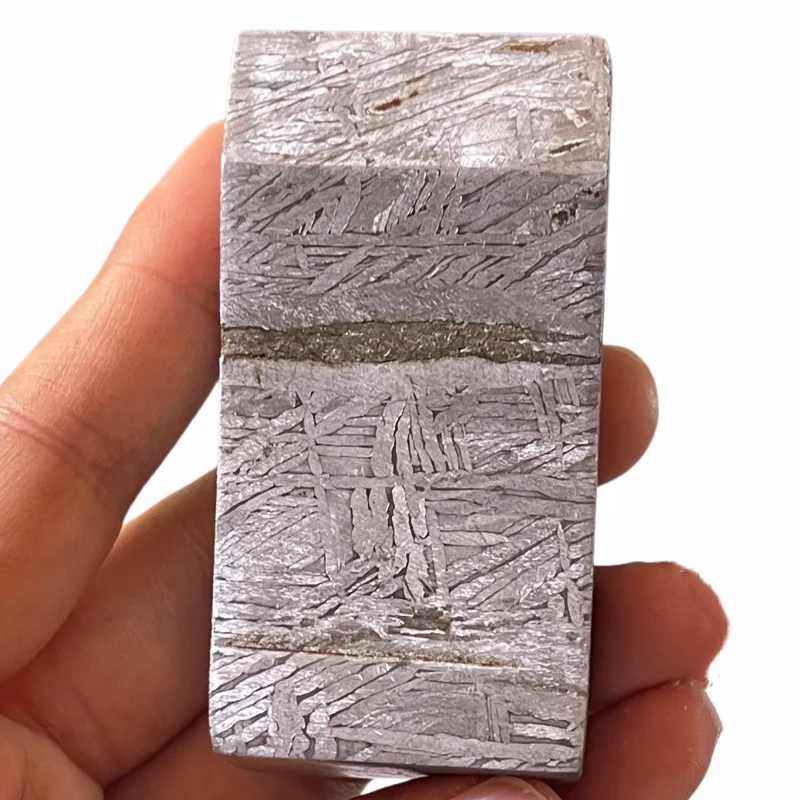 Muonionalusta Iron Meteorite Slice Etched Widmanstatten Pattern Specimen With Original Crust Mineral Collection Display CC254