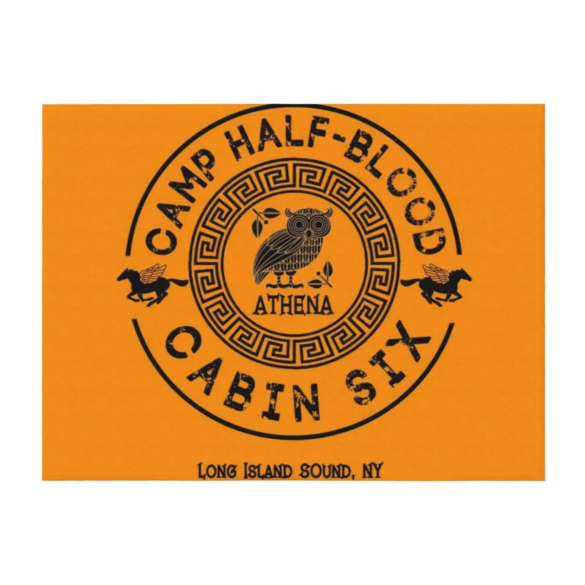 

Cabin Six - Athena - Percy Jackson - Camp Half-Blood Throw Blanket Flannels Luxury St Bed Fashionable For Sofa Thin Blankets