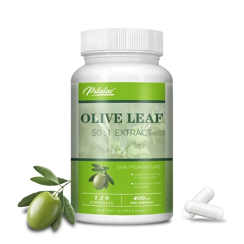 Olive Leaf - Supports Immune System and Cardiovascular Health, Promotes Blood Circulation