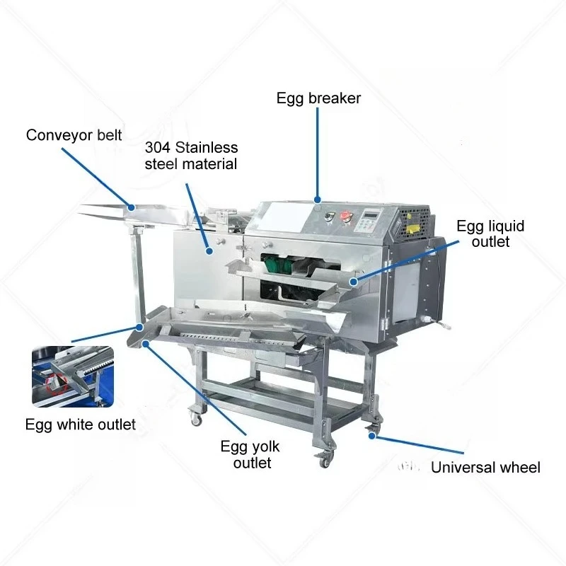 Commercial Dual Row Egg Breaking Separator Custom Machine Stable Separate Egg White Yolk Liquid Egg Processing Machinery