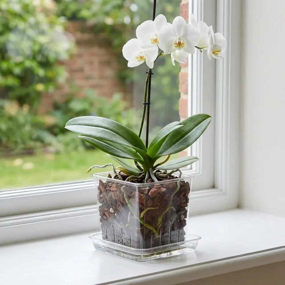 Square Clear Flower Pots with Trays Ventilated Drainage Holes Orchid Plant Grow Pot Root Control Pot Thickened Plastic