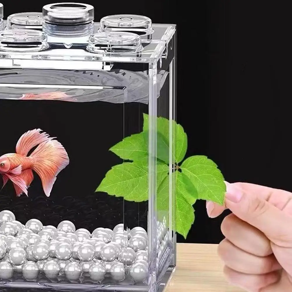 High-transparency Fish Tank Small Ecological Home Creative Transparent Ornamental Fish Building Blocks Fighting Fish Tank