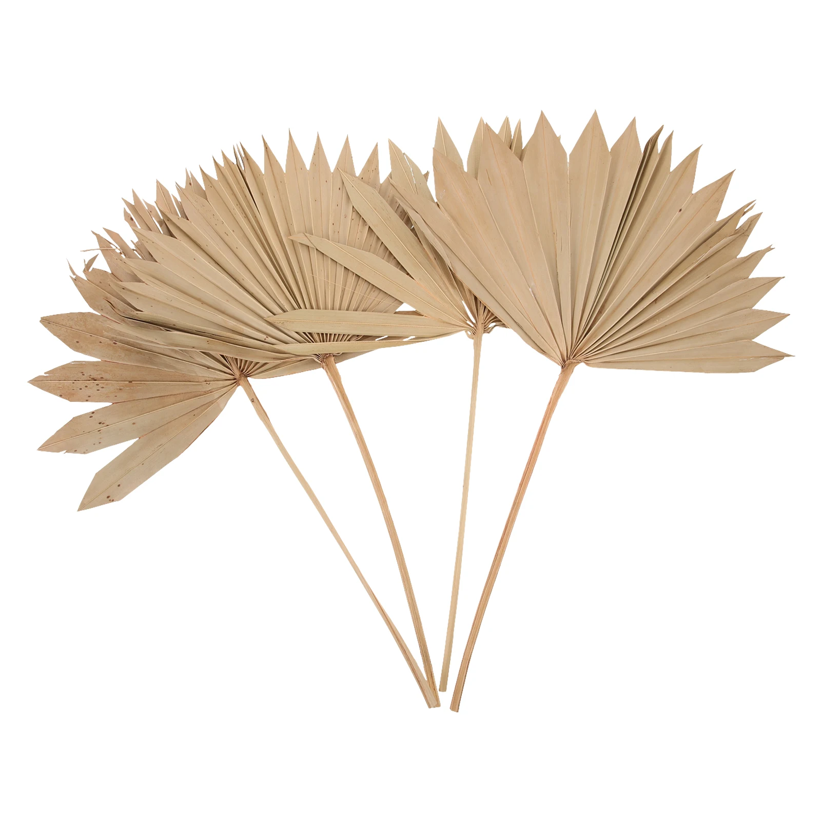 

4pcs Dried Palm Leaves Decoration Beige Color Vivid Adorn Wedding Party Photo Prop Boho Wall Ornament Home Decor