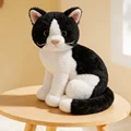 black white cat sy