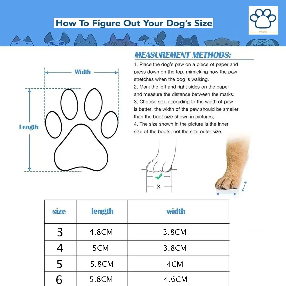 Thumbnail 2 - #53 New Dog Boots Arrivals