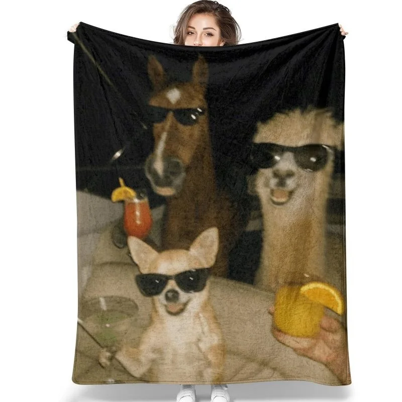 

Cute Cat Pattern Flannel Plush Blanket,4 Size Options,Ultra Soft, US Fast Shipping, Great for Bed, Sofa, and Gift for Pet Lovers